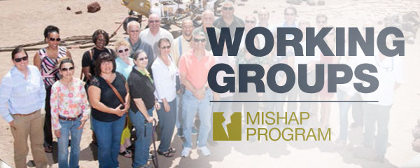 Working Groups: Mishap Program