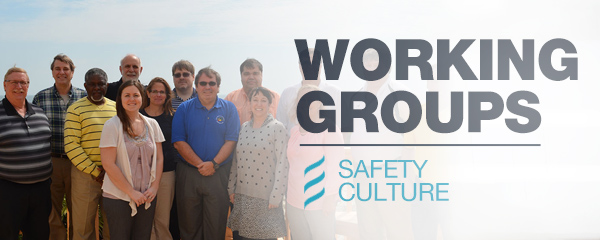 Working Groups: Safety Culture